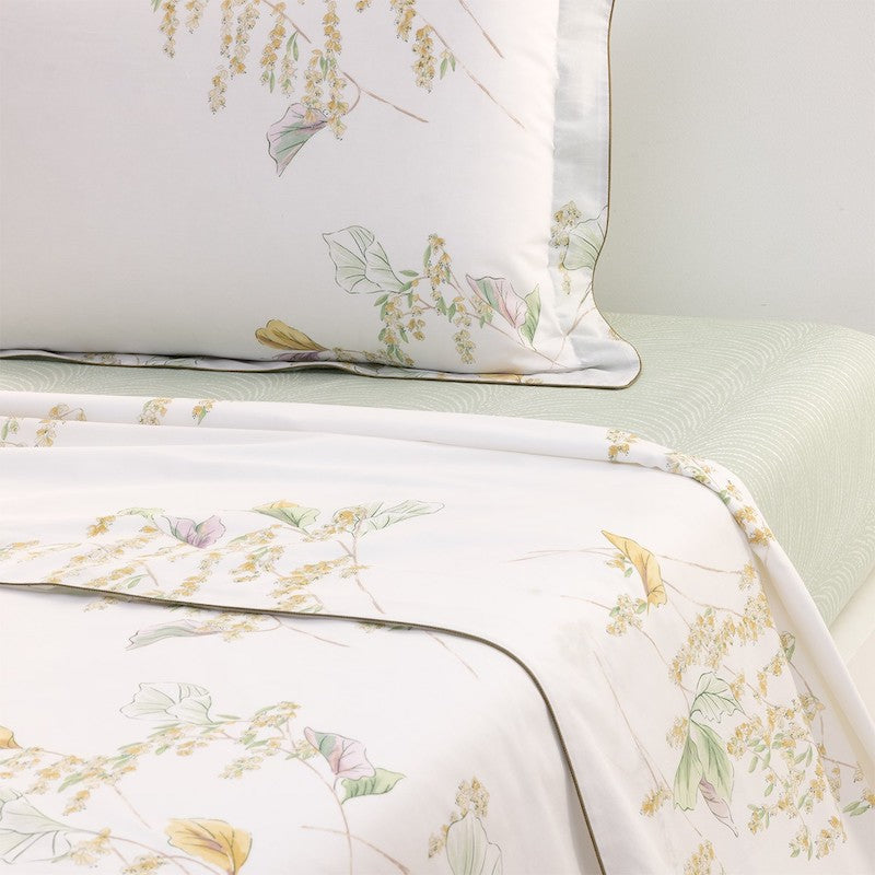 Pollen Bed Collection