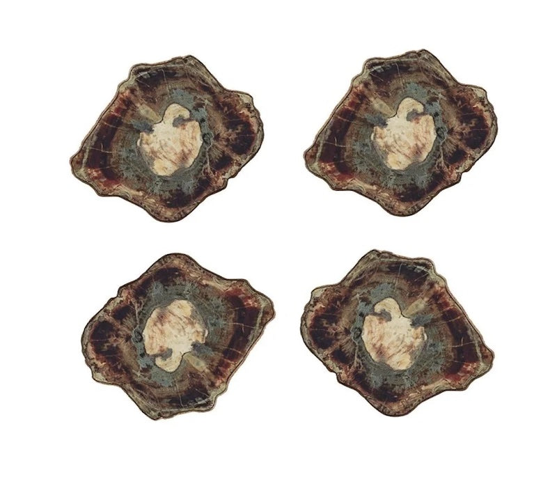Fossil Coasters
