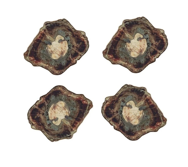Fossil Coasters