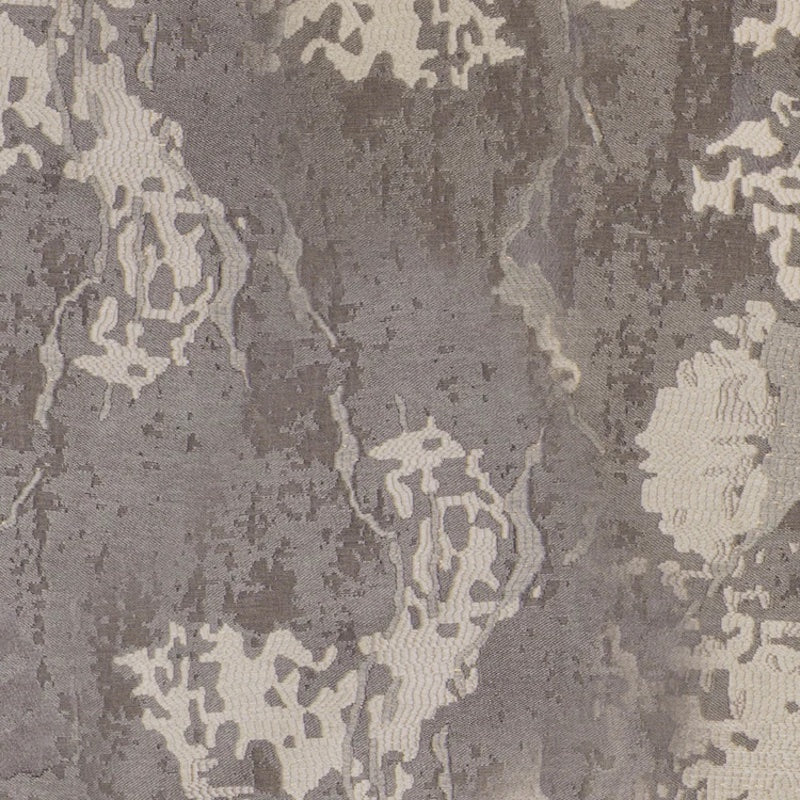 Cosmos in Grey