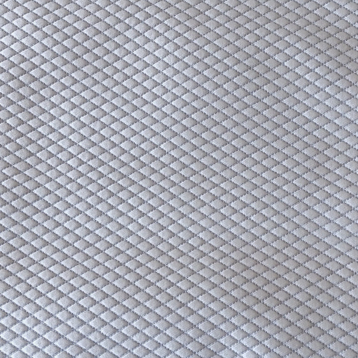 Hollywood in Silver