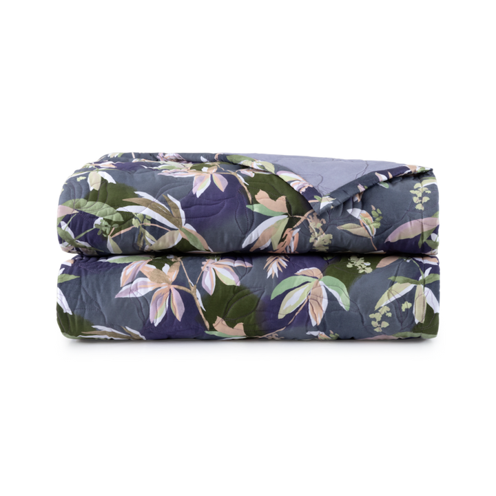 Brume Bed Collection