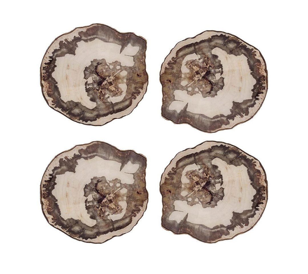 Petrified Wood Coasters