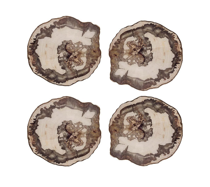 Petrified Wood Coasters