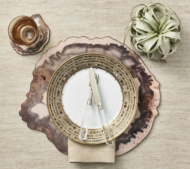 Petrified Wood Coasters